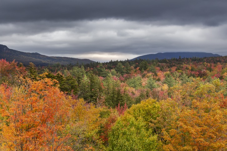 Autumn landscapes