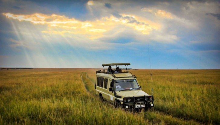 Safari jeep