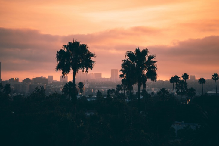 Los Angeles at the sunset