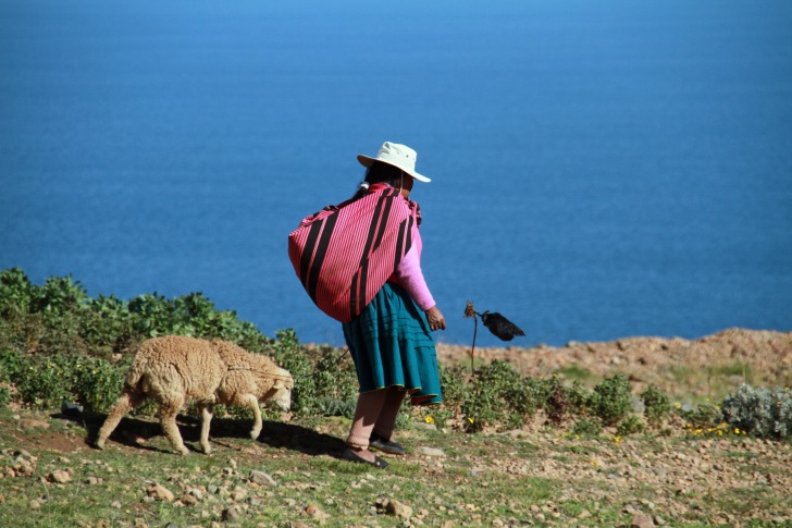 Peruan woman and sheep at the lake