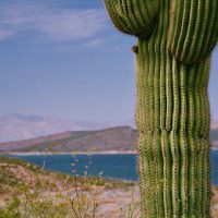 Lake Havasu, AZ