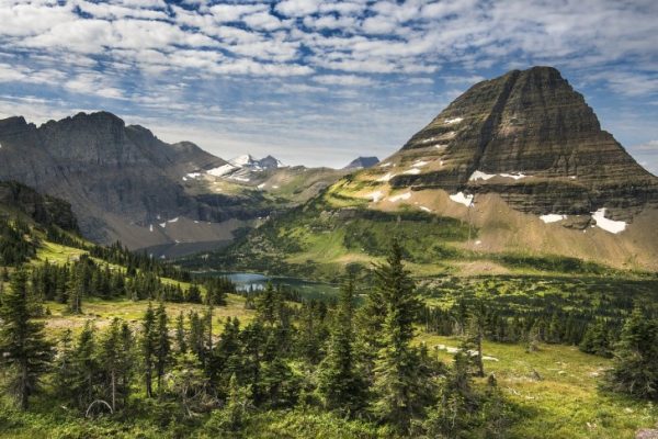 Montana landscape