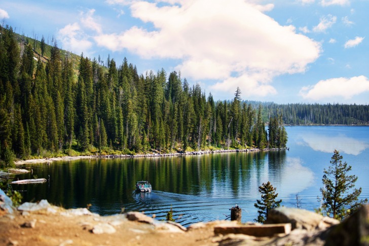 Grand Teton