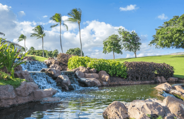 landscaping with waterfalls in Hawaii