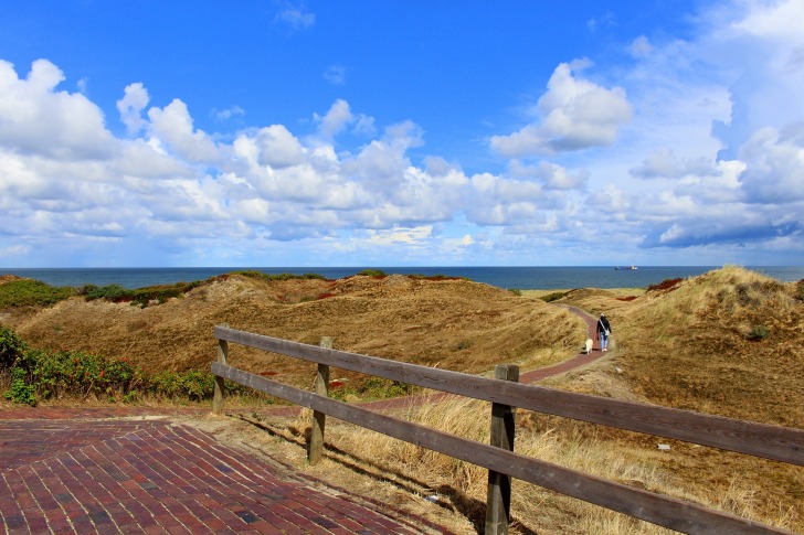 A path to the sea