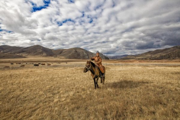 A man on a horse