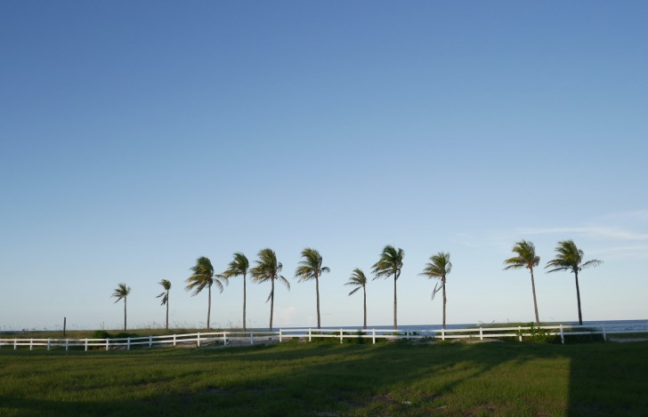 Lauderhill, Estados Unidos