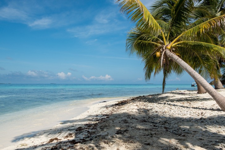 Belize azure waters beach