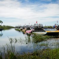 The Everglades