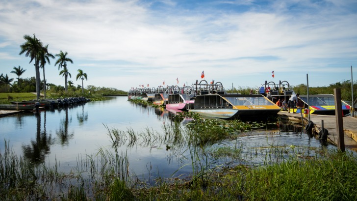 The Everglades