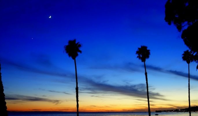 Palms and sunset