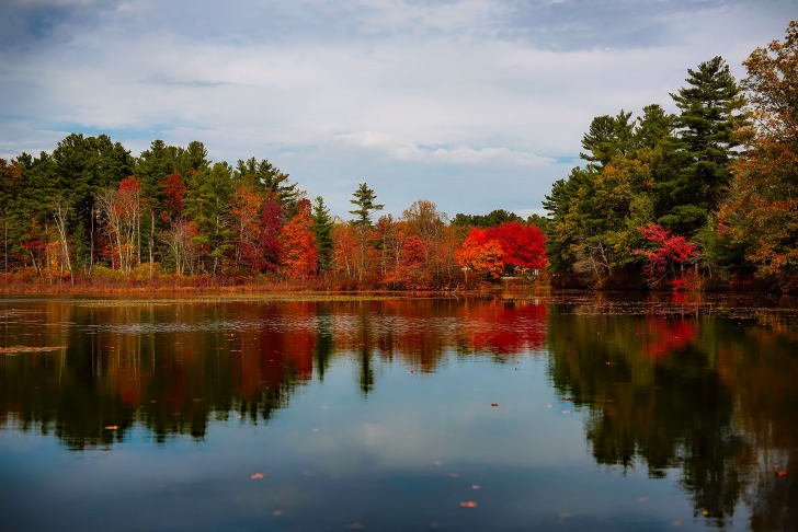 Walden Pond