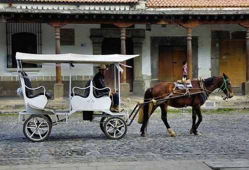 A horse and a carriage