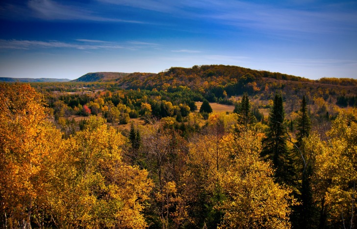 The colors of autumn