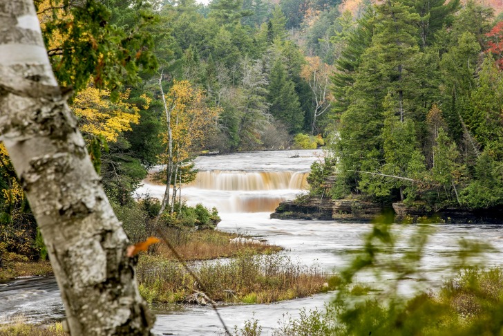 A river in the forest