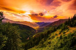 Montana nature