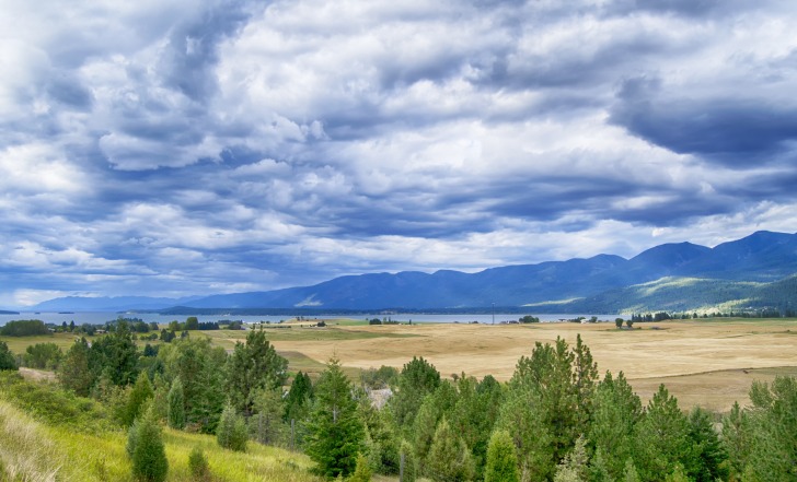 Montana landscape