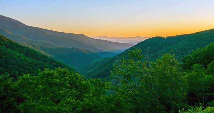 Green landscape in the morning