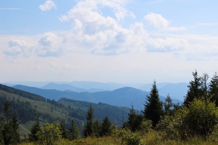 Carpathian mountains