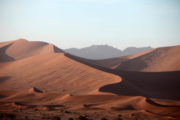 Africa Desert