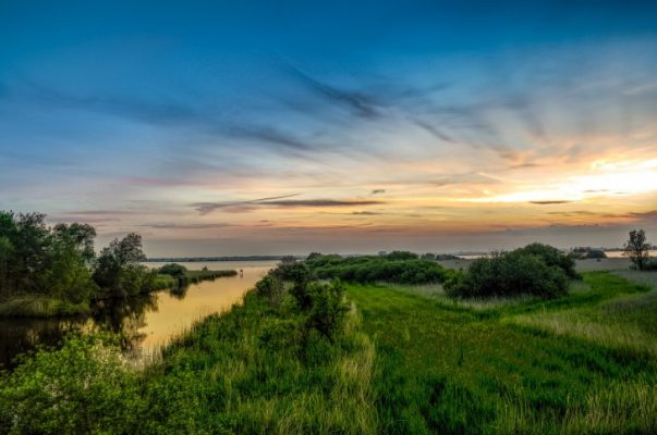 Traveling, Hiking, Netherlands, Veluwezoom National Park