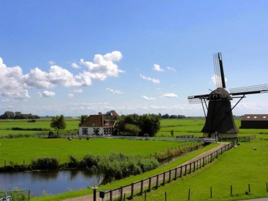 A windmill in a meadow