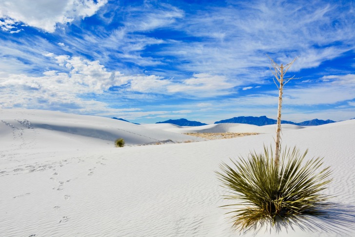 New Mexico, United States