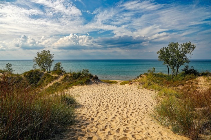 Beach View