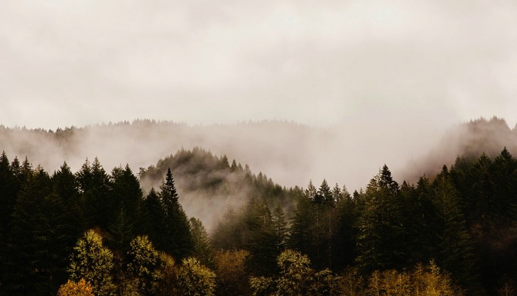 Oregon mountains