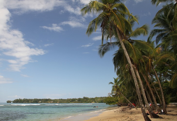 Palmy beach