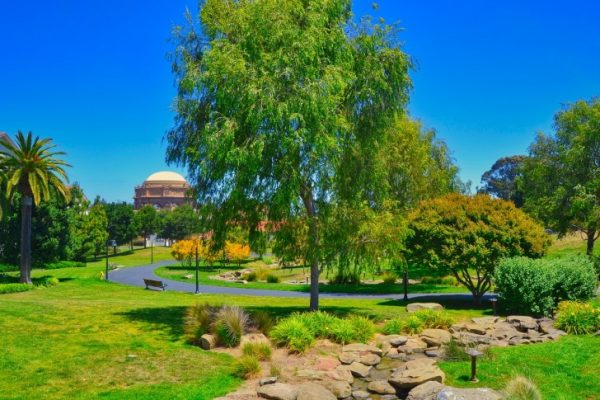 A park in San Francisco 