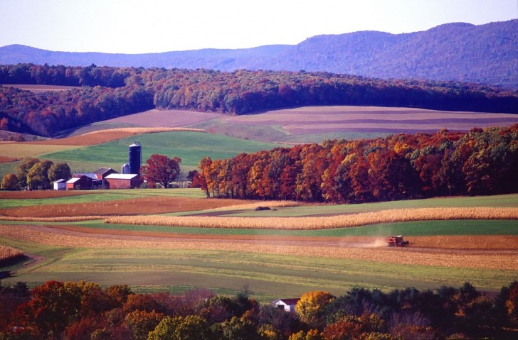 Pennsylvania fields