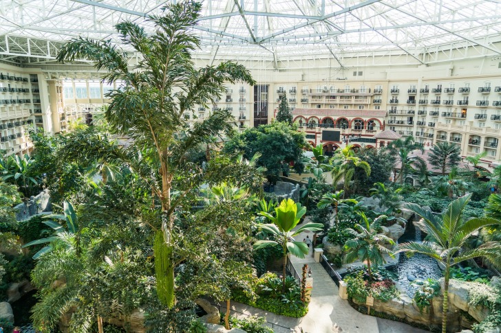 A garden within a hotel