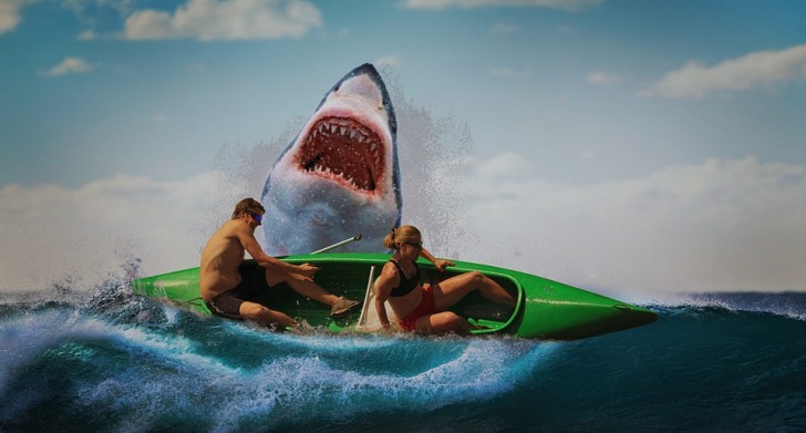 Shark attacking kayakers