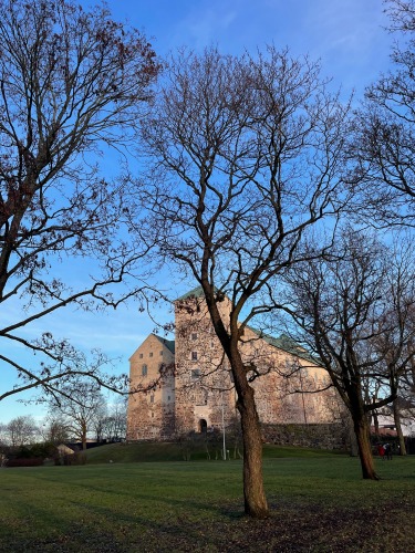 Turku Castle