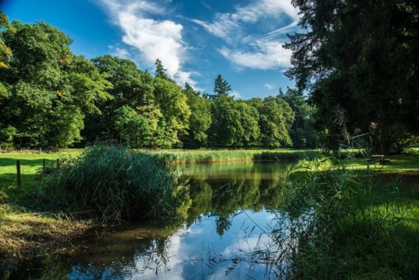 Traveling, Hiking, Netherlands, Oisterwijkse Bossen en Vennen