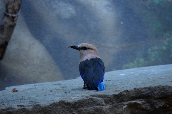 Philadelphia Zoo