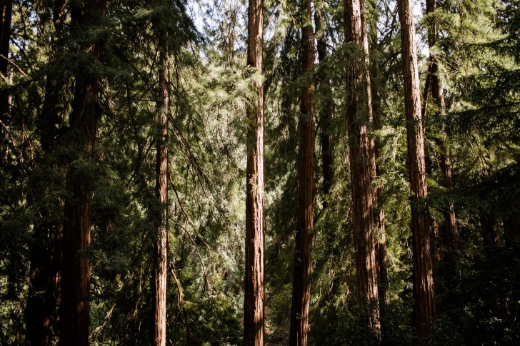 Redwood City, Estados Unidos