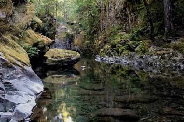 Opal Creek