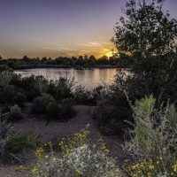 Arizona landscape