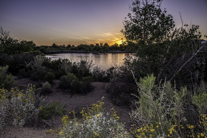 Arizona landscape