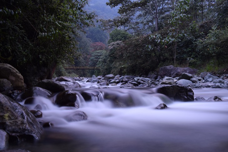 Stones in the river