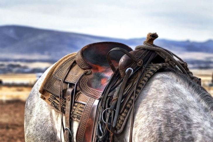 Horse saddle