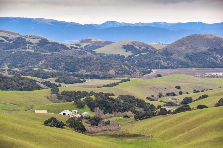 Salinas, Estados Unidos