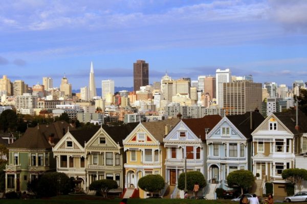 Painted Ladies