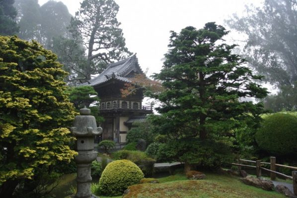 Golden Gate Park