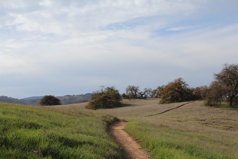 Santa Rosa, CA