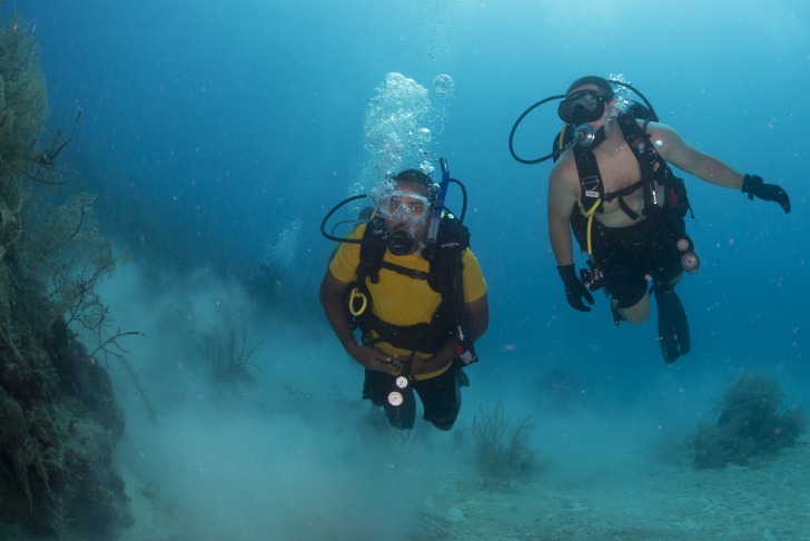 Scuba divers