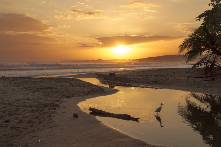 Sunset at the beach