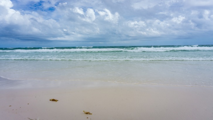 Henderson Beach State Park